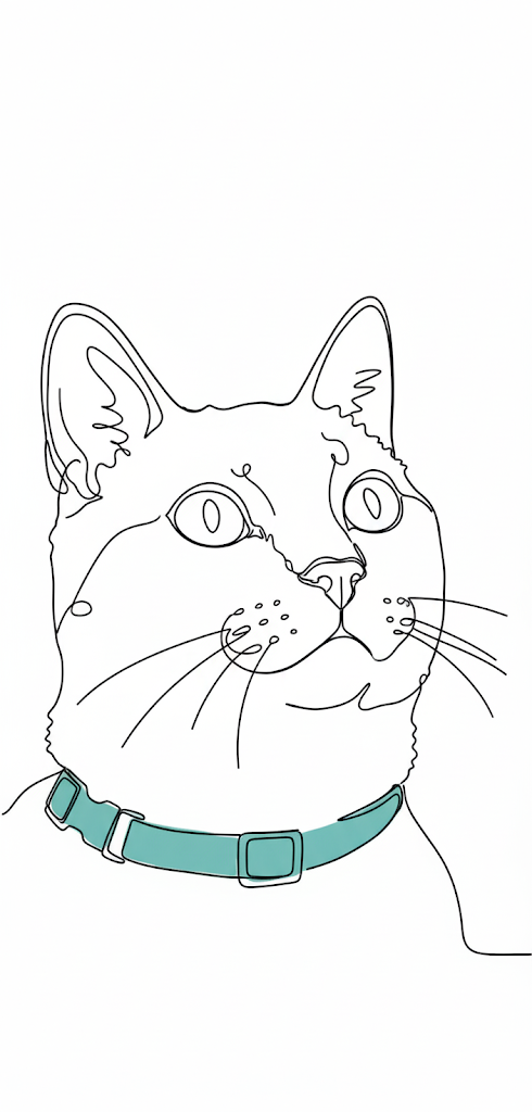 Custom PIC - Digital Only