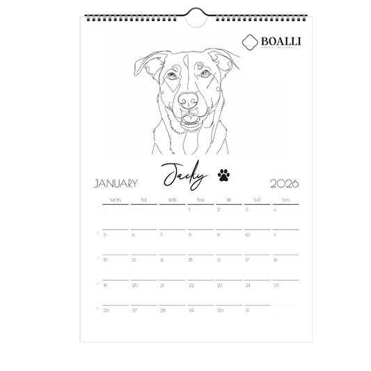 Wall calendars 2026