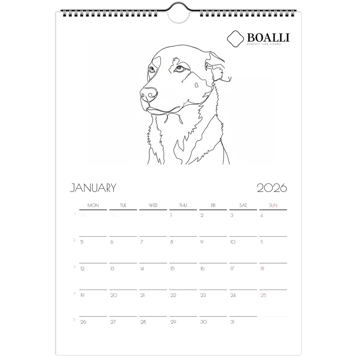 ae9721ca-d311-420a-a5da-b098517b5889