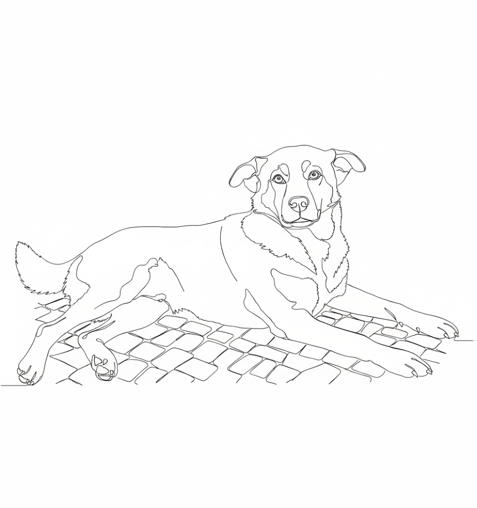 Custom PIC - Digital Only